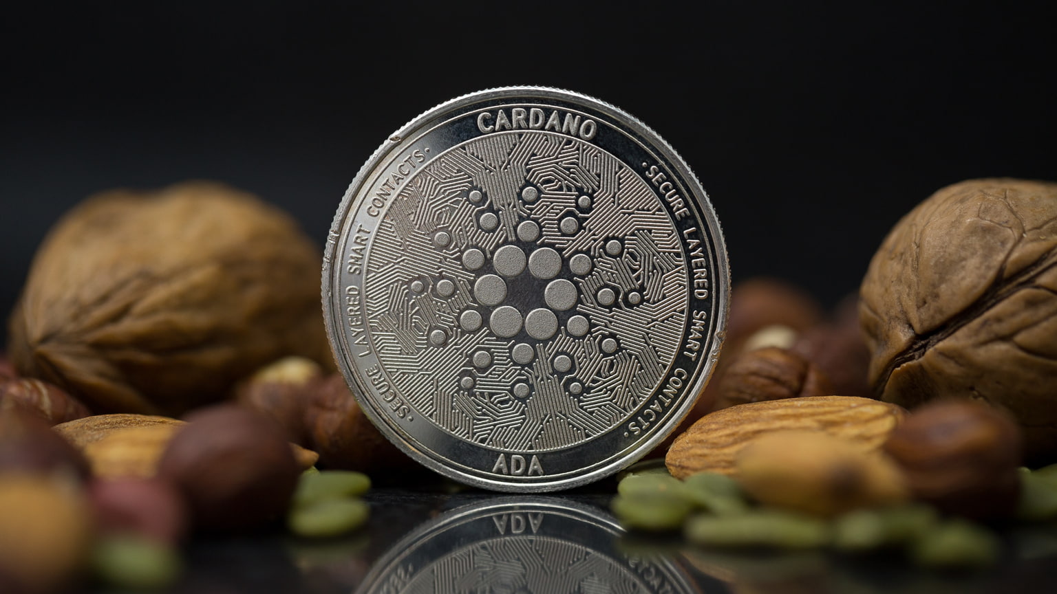 Прогноз криптовалюты Cardano (ADA coin, Кардано) на 2021 года и обзор