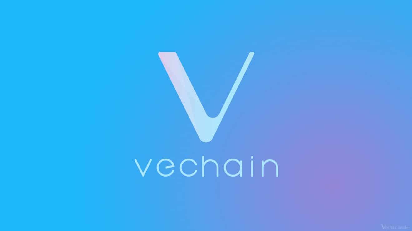 Криптовалюта VeChain - перспектива и прогноз на 2022 год
